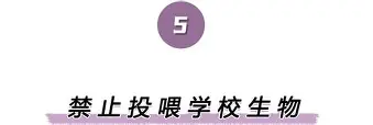 离谱！里昂内部会议纪要流出——赛后遗憾出局窗口期曼城官宣签约，蒂姆与90激战SKT分钟的简单介绍